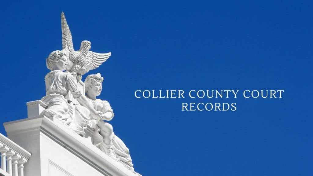 Collier County Court Records Records Search CCAP Wisconsin Court