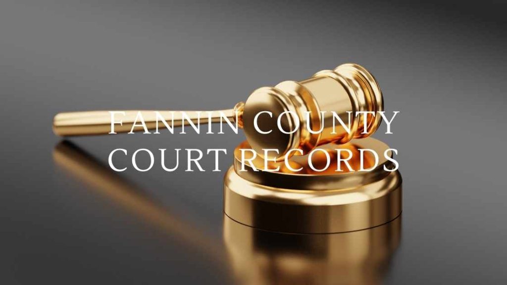 Fannin County Court Records